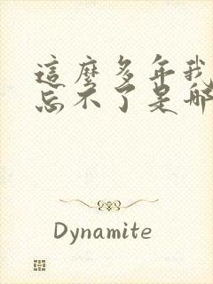 这么多年我还是忘不了是哪首歌歌词