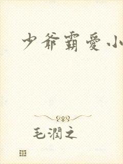 少爷霸爱小丫头