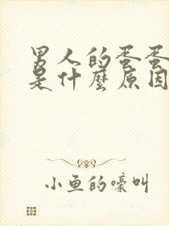 男人的蛋蛋肿疼是什么原因?