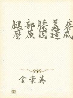 腿部膝盖疼痛什么原因造成的