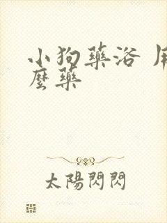 小狗药浴 用什么药