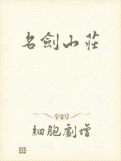 名剑山庄