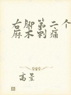 右脚第二个脚趾麻木刺痛