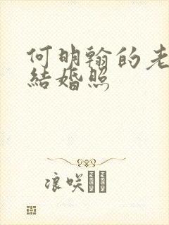 何明翰的老婆照结婚照