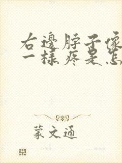 右边脖子像落枕一样疼是怎么回事封面