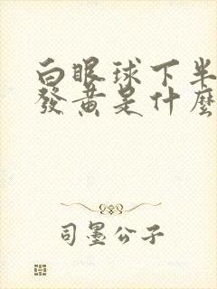 白眼球下半部分发黄是什么原因