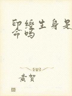印绶生身是富贵命吗封面
