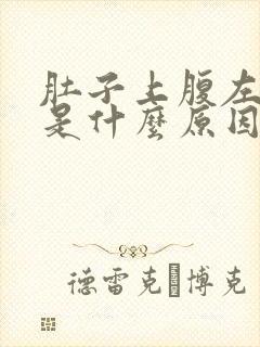 肚子上腹左侧疼是什么原因女性