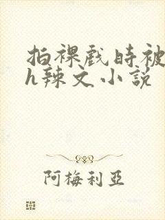 拍裸戏时被c了h辣文小说封面