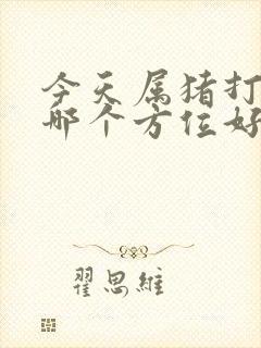 今天属猪打牌坐哪个方位好