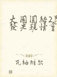 大团圆结2闪闪发光亲情会