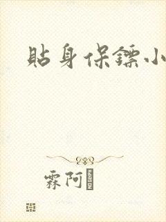 贴身保镖小说