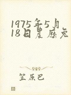 1975年5月18日农历兔是什么命