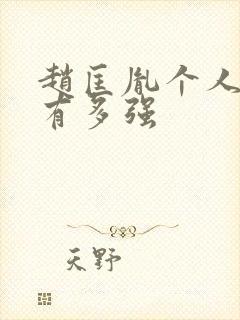 赵匡胤个人武力有多强