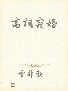 高调宠婚封面