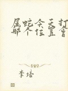 属蛇今天打牌坐哪个位置会赢