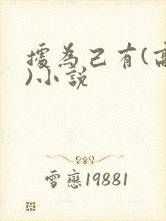 据为己有(高干)小说封面