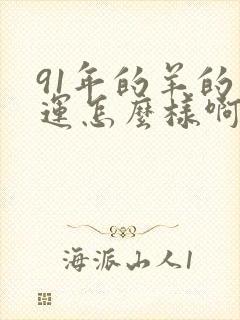 91年的羊的命运怎么样啊封面