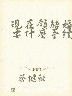 现在领结婚证需要什么手续?