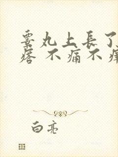 睾丸上长了个疙瘩 不痛不痒