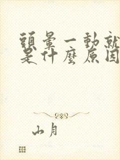 头晕一动就出汗是什么原因