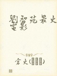 刘智苑最火十部电影