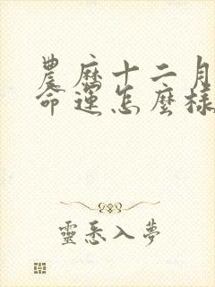 农历十二月的龙命运怎么样