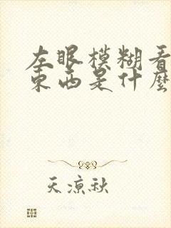 左眼模糊看不清东西是什么原因