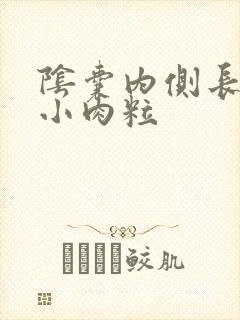 阴囊内侧长了个小肉粒