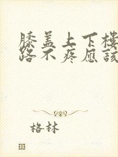 膝盖上下楼疼走路不疼应该怎么办