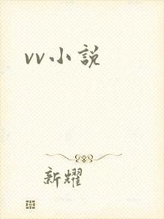 vv小说封面