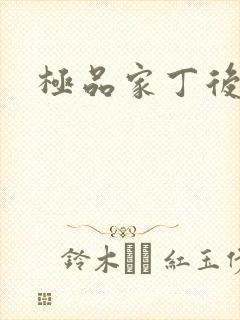 极品家丁后传
