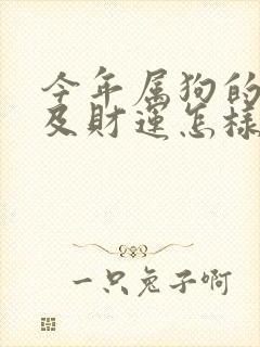 今年属狗的命运及财运怎样封面