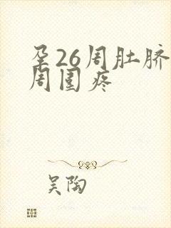 孕26周肚脐眼周围疼