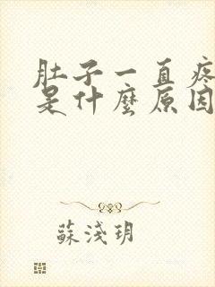 肚子一直疼可能是什么原因