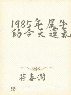 1985年属牛的今天运气