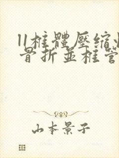 l1椎体压缩性骨折并椎管狭窄