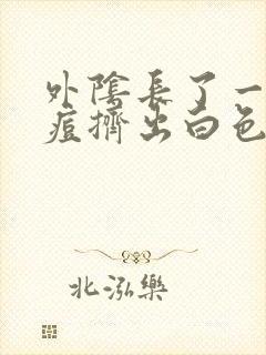 外阴长了一个痘痘挤出白色的东西封面