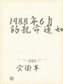 1988年6月的龙命运如何