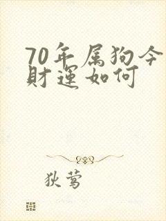 70年属狗今年财运如何