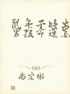 鼠年子时出生的男孩命运怎么样封面