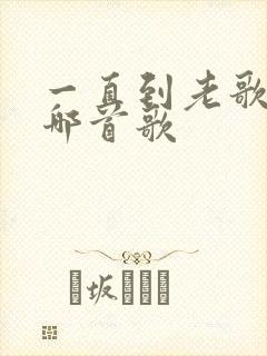 一直到老歌词是哪首歌