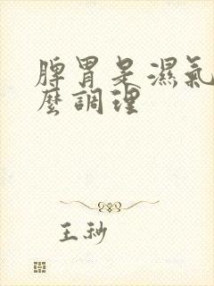 脾胃是湿气重怎么调理