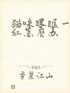 猫咪眼眶一圈发红怎么办