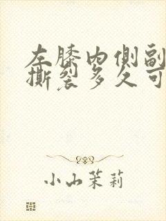 左膝内侧副韧带撕裂多久可以走路封面