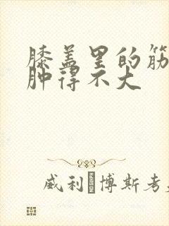 膝盖里的筋扭了肿得不大