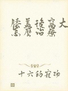 膝盖后窝大筋疼怎么治疗