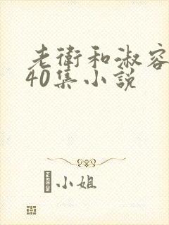 老卫和淑容1-40集小说封面