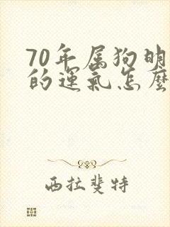 70年属狗明天的运气怎么样