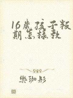 16岁孩子叛逆期怎样教封面